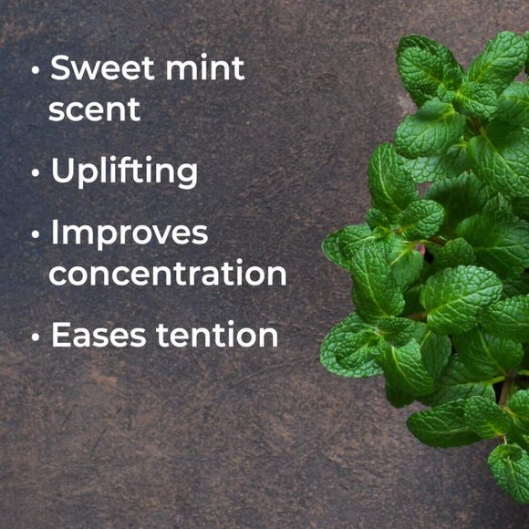 Spearmint Essential Oil Plant Therapy Organic - UNOPENED AS THE PICTURES SHOW - Picture 4 of 6